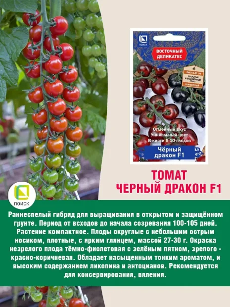 Томат Чёрный дракон F1 семена 