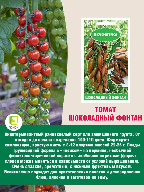 Томат Шоколадный фонтан семена 