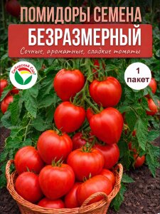Томат Безразмерный Томат Безразмерный