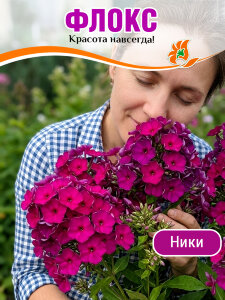 Флокс Ники