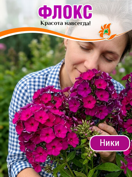 Флокс Ники