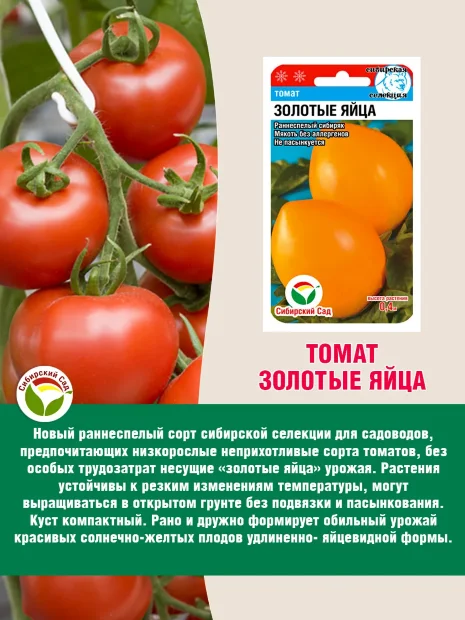 Томат Золотые Яйца семена 