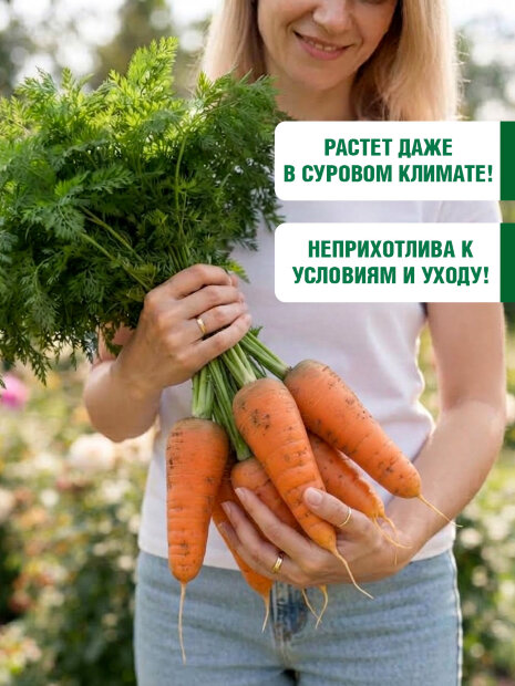 Морковь Сибирская Медуница семена 