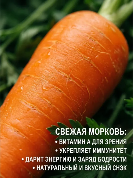 Морковь Сибирская Медуница семена 