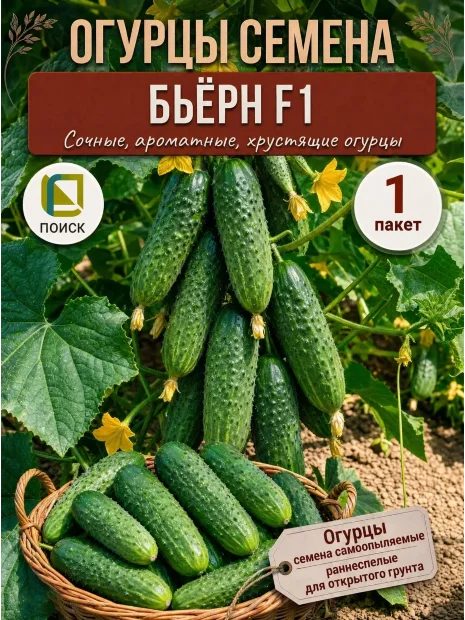 Огурец Бьерн F1 семена 