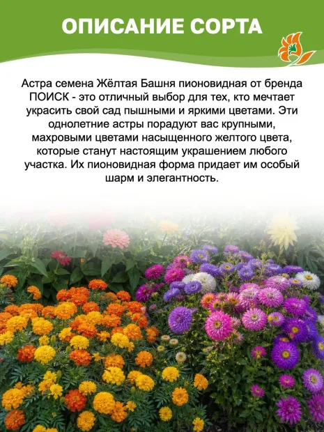 Астра пионовидная Жёлтая Башня семена
