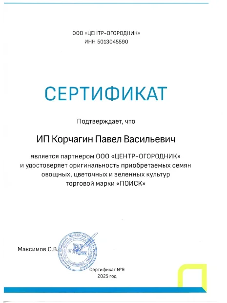 Астра пионовидная Жёлтая Башня семена
