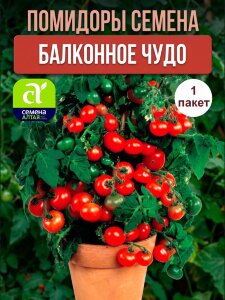 Томат Балконное Чудо Томат Балконное Чудо