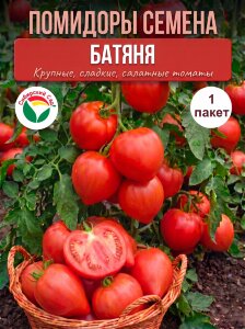 Томат Батяня Томат Батяня