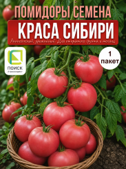 Томат Краса Сибири