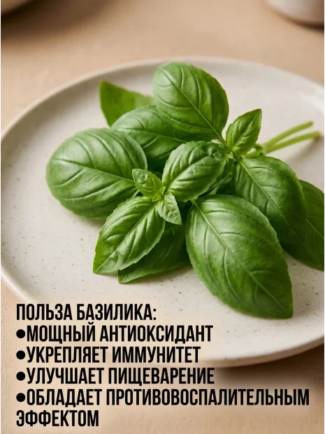 Базилик Лимонный семена 