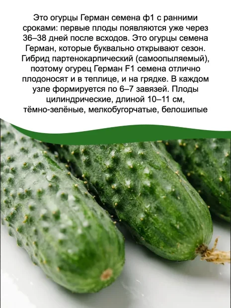 Огурец Герман F1 семена 