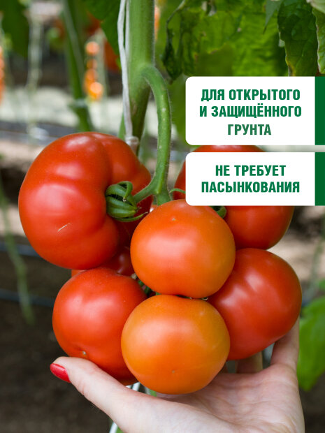 Томат Мамонтенок семена 