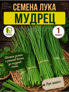 Лук шнитт Мудрец