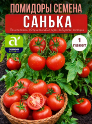 Томат Санька Томат Санька
